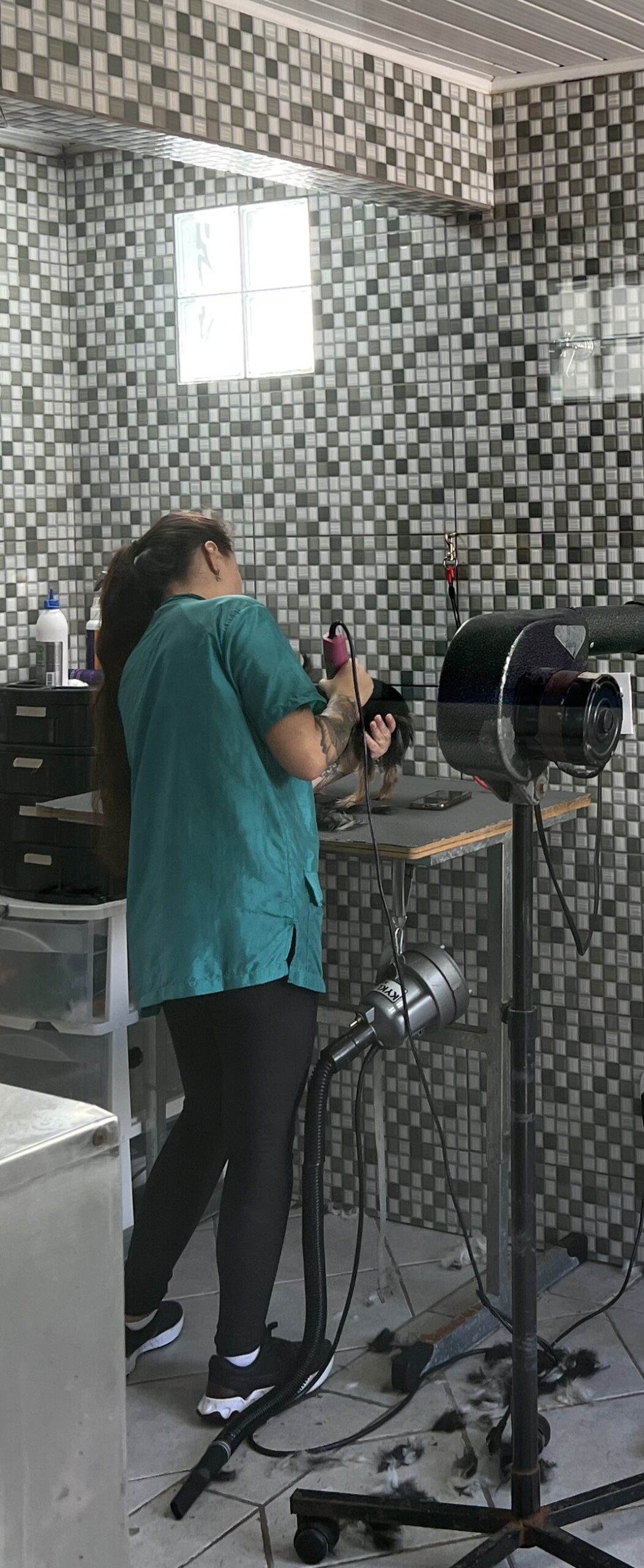 Profissional realizando tosa na Pet Shop Valle